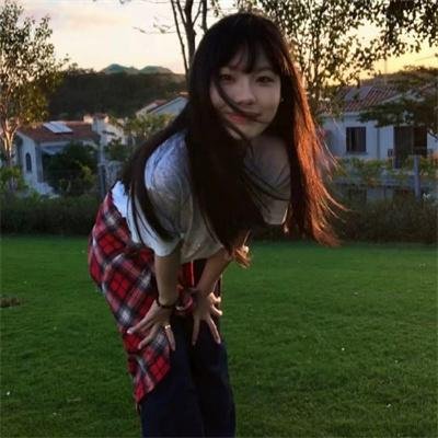 树海村